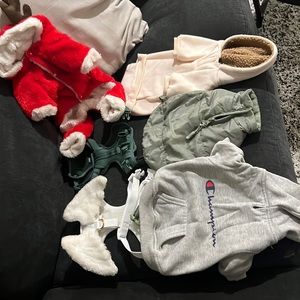 Small Dog/Puppy Bundle